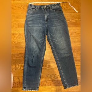 Vervet Mom jeans